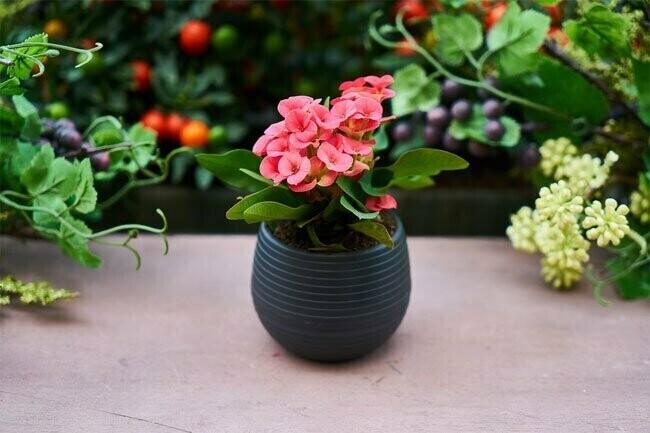 Gardening season is here! Gardening season is here!