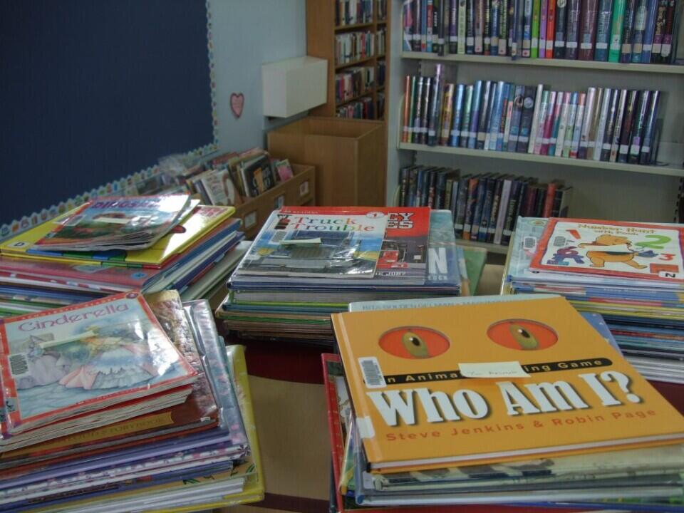 Book Bundles for Family Literacy Day Book Bundles for Family Literacy Day