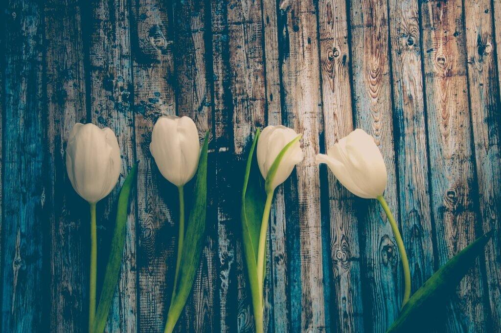 Easter Weekend Hours at WMRL Easter Weekend Hours at WMRL