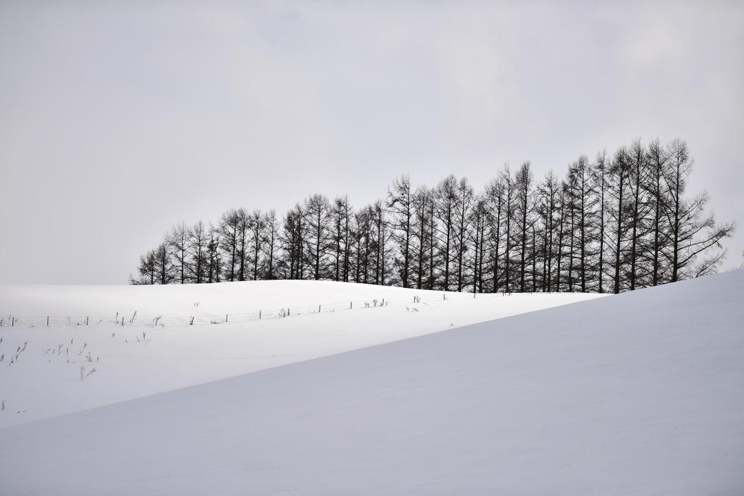 January New Books Lists