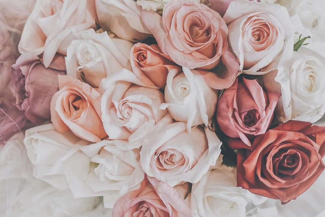 February New Books Lists