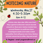 Noticing Nature (Instagram Post (45))